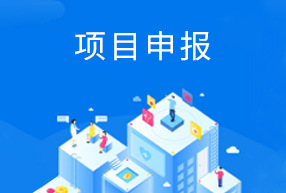 北海政府项目申报/
